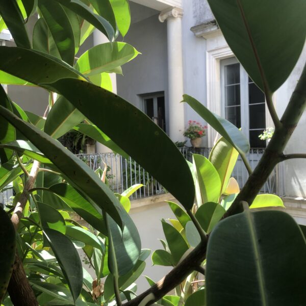 CasaComi-pianta-memex-Eccom