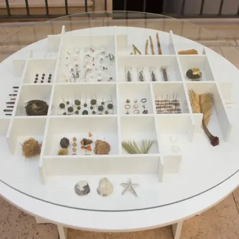 Radicati-Alice-Padovani-Mostra-Green-Routes-Eccom