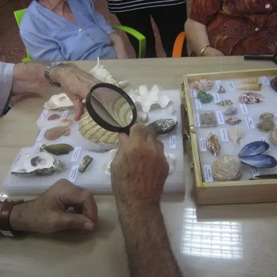 diamond-handbook-valencia-lente-fossili-eccom