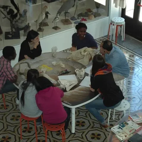 Meeting – DIAMOND – Handbook – Rome – ECCOM