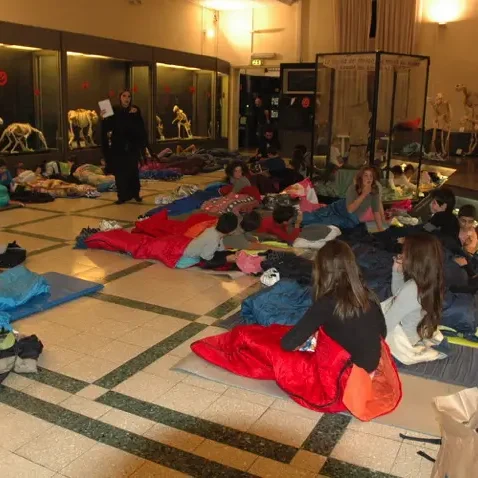 Night at the Museum of Zoology – DIAMOND – Handbook – Rome – ECCOM