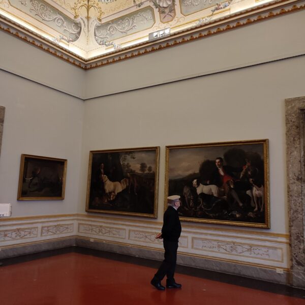 Rooms – Royal Palace of Caserta – MEMEX