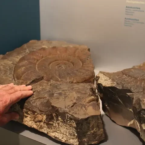 reperto-diamond-handbook-valencia-eccom