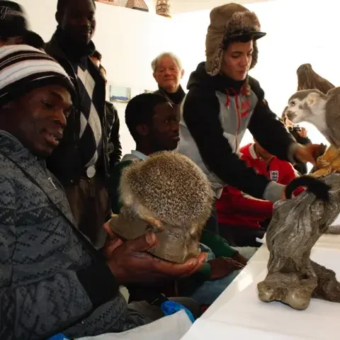 Monkeys – DIAMOND – Handbook – Rome – ECCOM