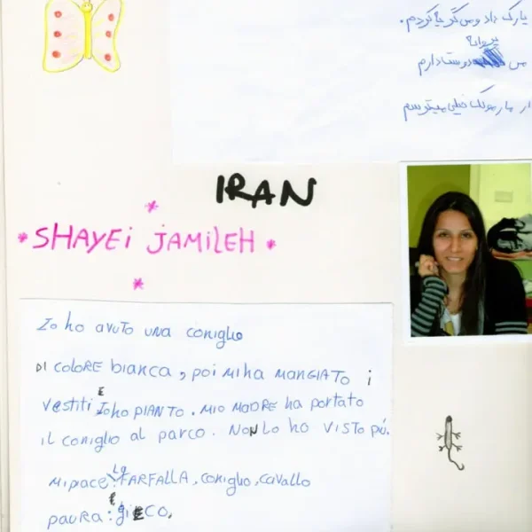 Shayei – DIAMOND – Handbook – Rome – ECCOM