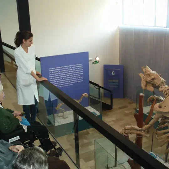 visita-museo-diamond-handbook-valencia-eccom