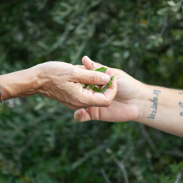 Group residency in Kalavasos (Cyprus), curated by Xarkis, September 2026. Ph. Andreas Gregoras