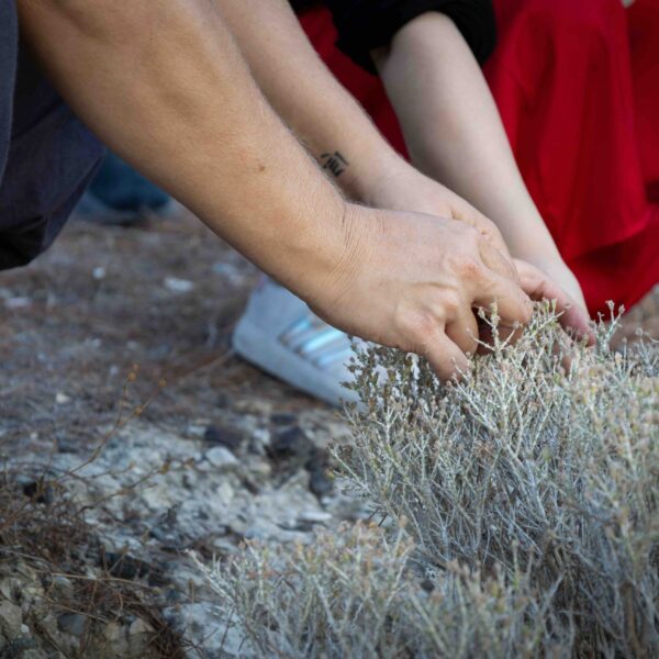 Group residency in Kalavasos (Cyprus), curated by Xarkis, September 2026. Ph. Andreas Gregoras
